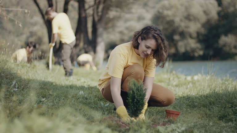 Best Lawn Drainage Solutions  in Savage, MD