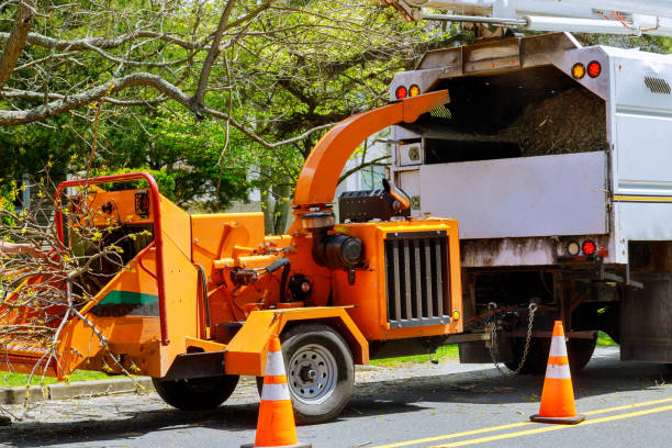Best Seasonal Cleanup (Spring/Fall)  in Savage, MD
