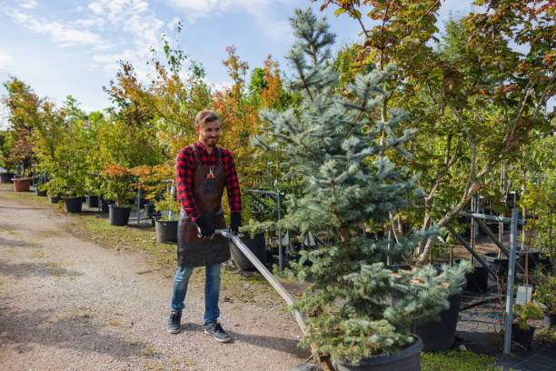 Best Tree Preservation Services  in Savage, MD